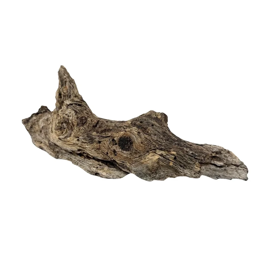 Irregular California Driftwood with Rich Grain & Natural Knots Coastal Wood Art